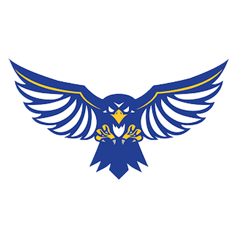 Hawks