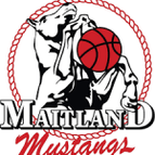 Maitland Mustangs
