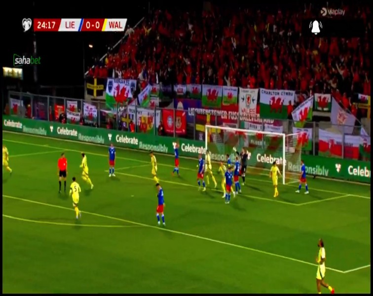 World Cup - Qualification Europe: Liechtenstein vs Wales