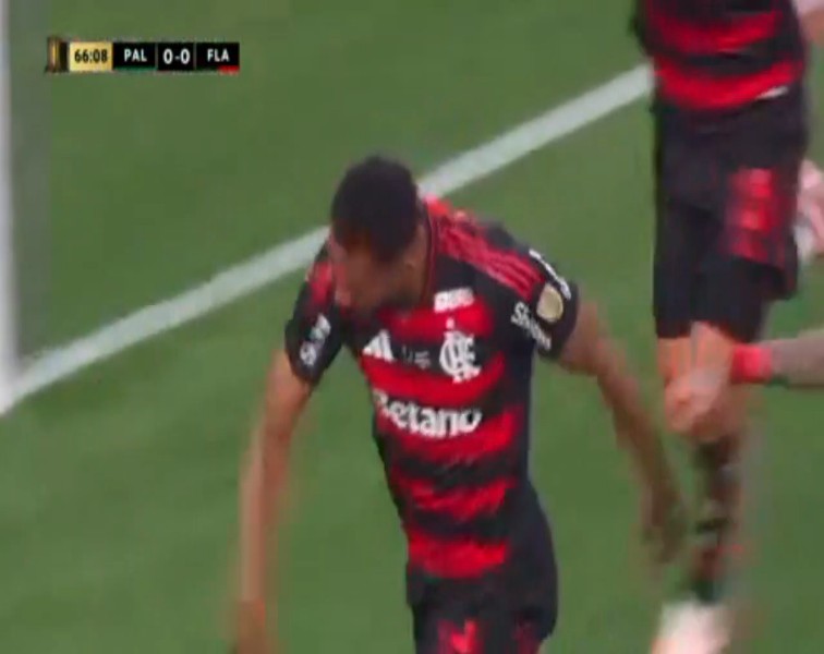 CONMEBOL Libertadores: Palmeiras vs Flamengo