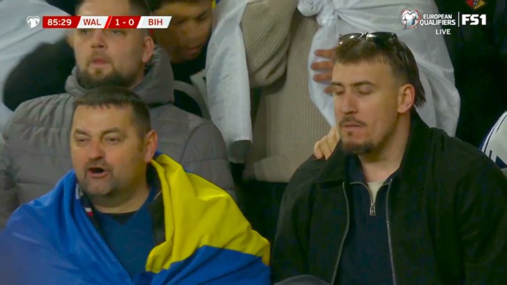 World Cup - Qualification Europe: Wales vs Bosnia & Herzegovina
