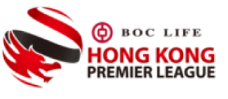 HKFA 1st Division logo
