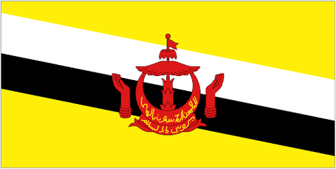 Brunei logo