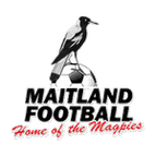 Maitland