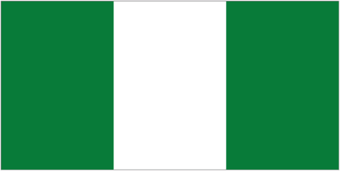 Nigeria U20 logo
