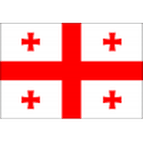 Georgia U19 emblem