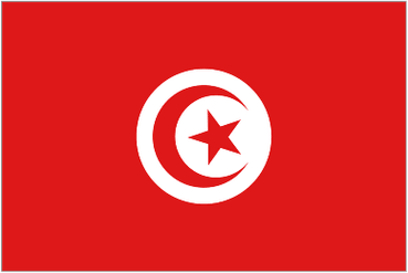 Tunisia U20 emblem